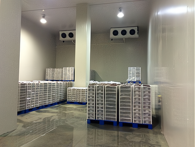 開一個雪糕批發冷庫 專業指導，創業無憂！預包裝食品批發策略