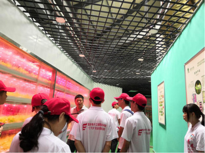 心系三農，讓農業插上科技的翅膀——網絡工程賦能現代農業發展